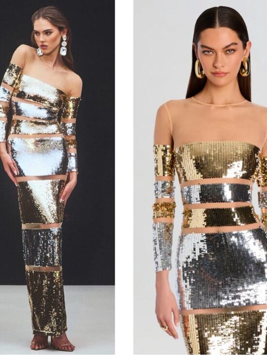 Retrofete Dresses & Skirts - RETROFETE Desi Sequin Embellished Long Sleeve Sheer Mesh Maxi Dress Size Small